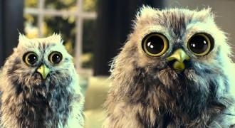 McVitie’s BN Biscuits – Owl