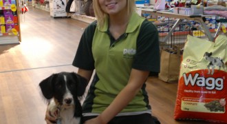 Pets At Home – Vets and Groomers
